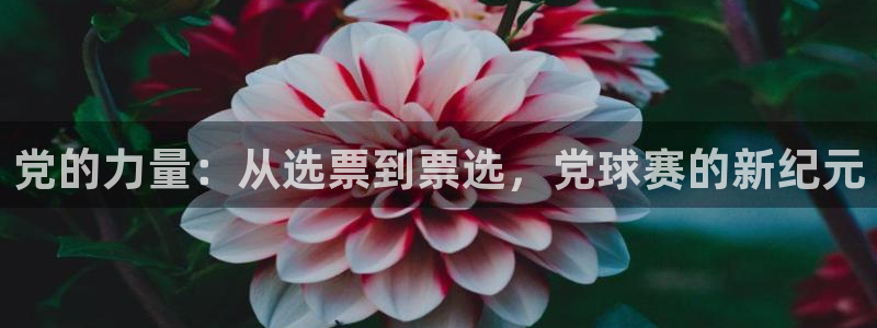  党的力量：从选票到票选，党球赛的新纪元