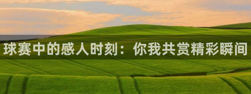球赛中的感人时刻：你我共赏精彩瞬间