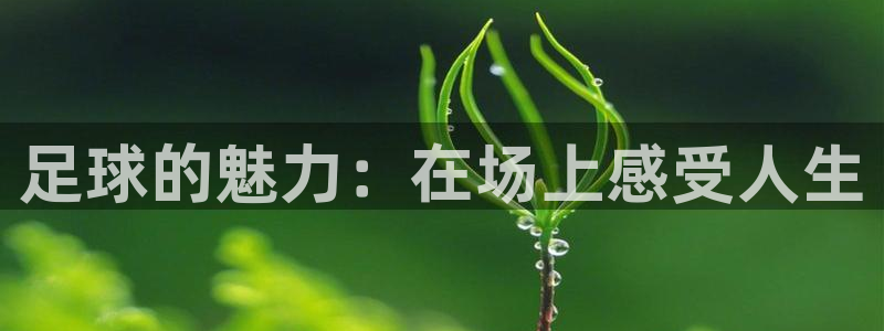  足球的魅力：在场上感受人生