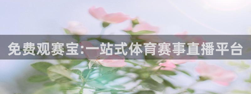  免费观赛宝:一站式体育赛事直播平台