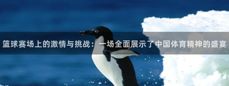  emc体育app合法吗：篮球赛场上的激情与挑战：一场全面展示