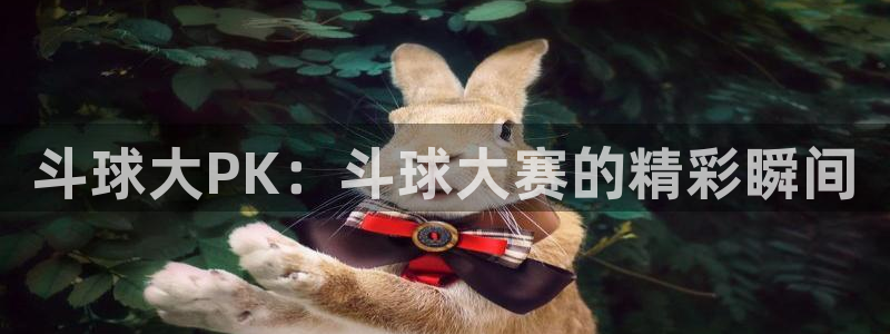  emc易贝下载：斗球大PK：斗球大赛的精彩瞬间