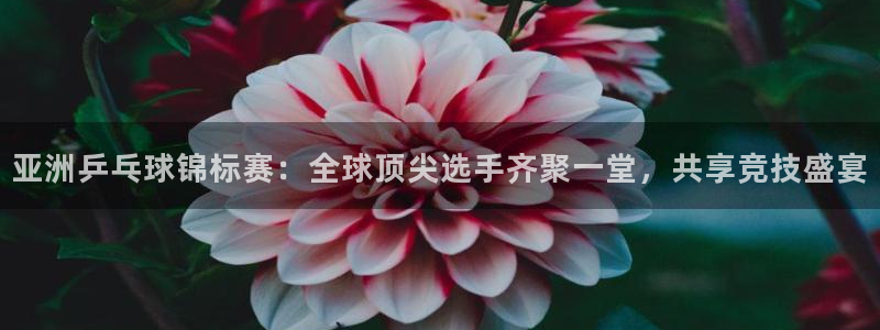 易倍emc全站：亚洲乒乓球锦标赛：全球顶尖选手齐聚一堂，共享