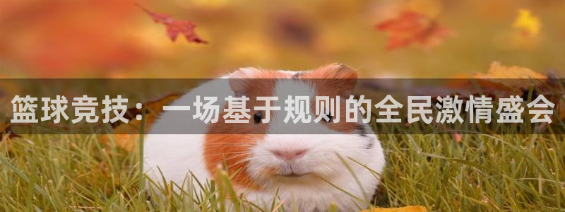  emc易贝下载：篮球竞技：一场基于规则的全民激情盛会