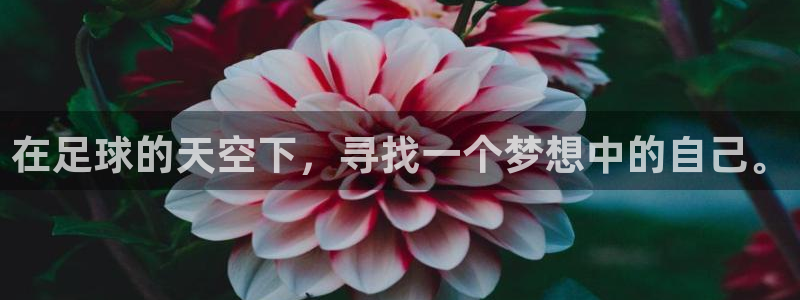  易倍emc体育下载：在足球的天空下，寻找一个梦想中的自己。